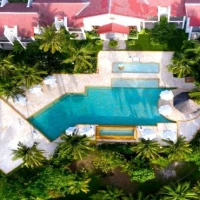 Natural Swimming Pools 0